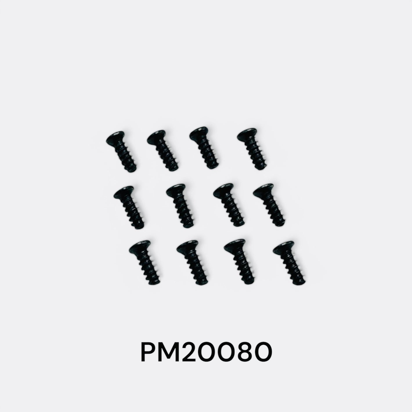 Round Head Flat Tail Screws for MJX 20208 - PM20080