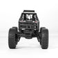 FMS 1:24 FCX24 Lemur RTR Remote Control Crawler