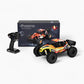 RLAARLO 1/12 Desert Truck Brushless RTR