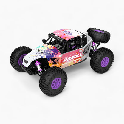 RLAARLO 1/12 Desert Truck Brushless RTR