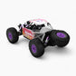 RLAARLO 1/12 Desert Truck Brushless RTR